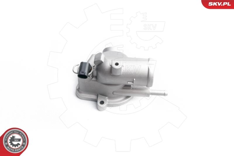 Thermostat, coolant